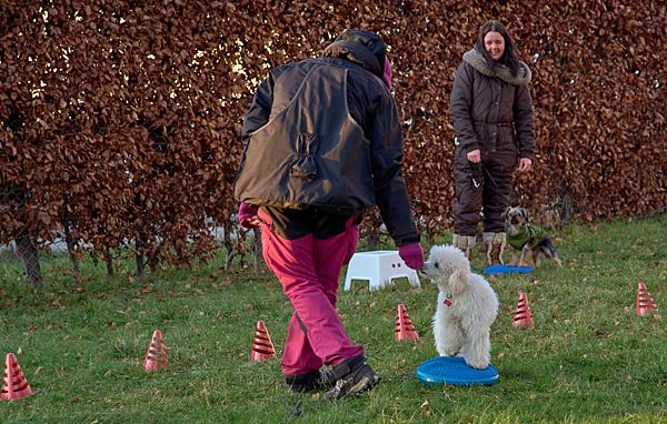 En time med tillids øvelse